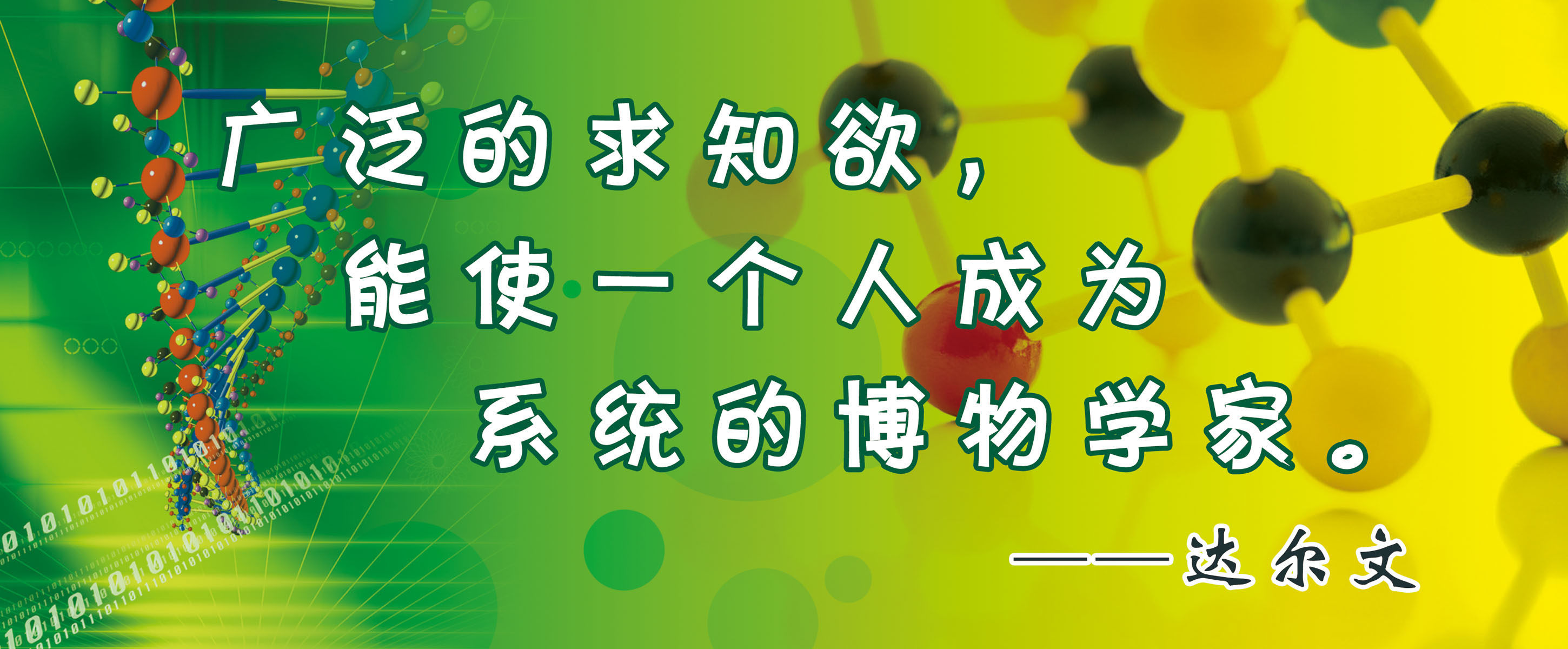 555海报印制海报展板素材780实验室名人名言达尔文 个性定制