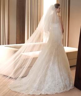 包邮 新娘结婚婚纱精品外贸拖尾素裸色3米可定做头纱 新款