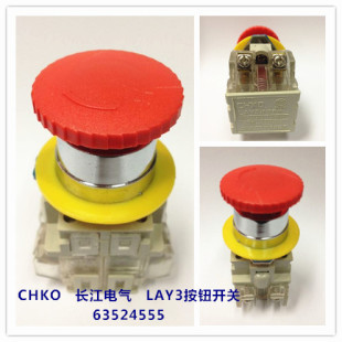 11ZS 急停按钮开关 LAY3 CHKO长江电气