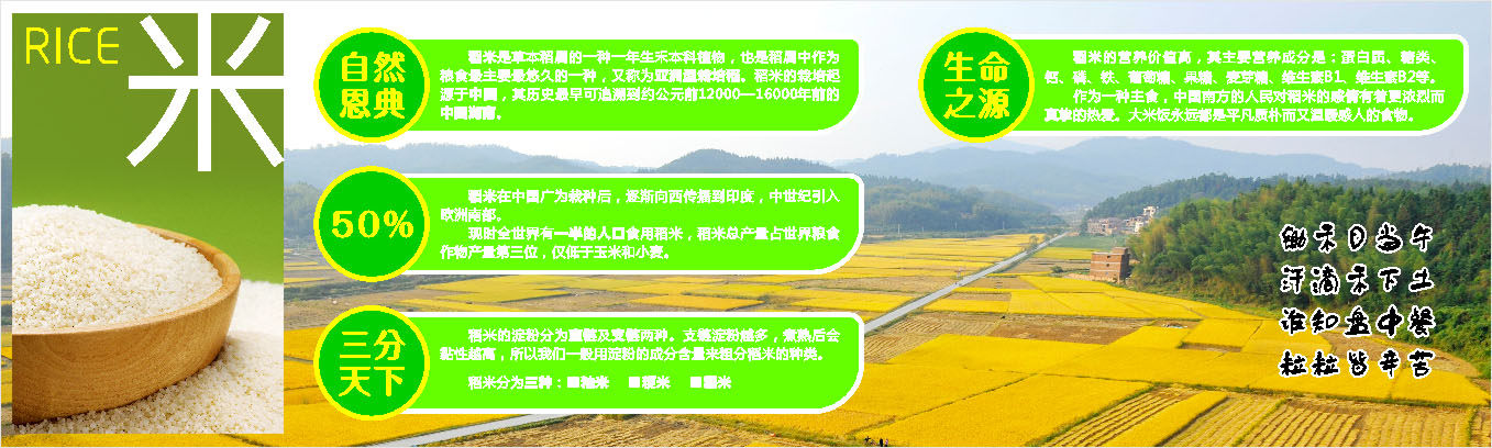 590海报印制海报展板素材280大米介绍稻米百科