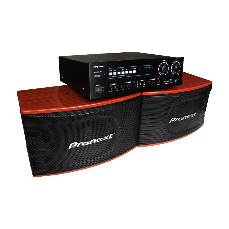 先锋 cs-350 k3 专业多媒体家庭卡拉ok音箱壁挂卡包ktv音响