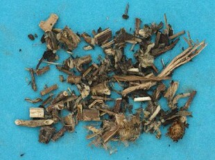 金佛草 500g旋复梗 旋复草 金沸草