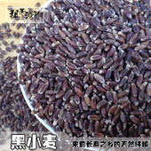 山东农家 黑麦子带皮麦麸小麦仁颗粒500g食用杂粮粗粮 黑小麦粒