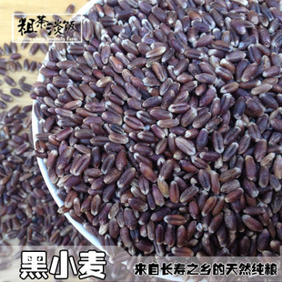 黑小麦粒 山东农家 黑麦子带皮麦麸小麦仁颗粒500g食用杂粮粗粮