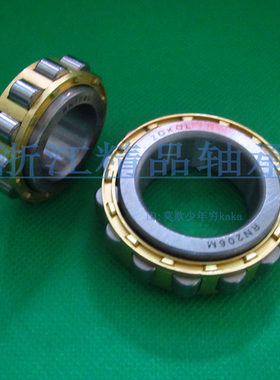 ZOKOL【轴承】RN204 205 206 207 209 219 222 228 M 铜架 减速机