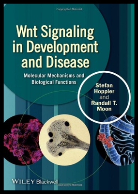 【预售】Wnt Signaling in Development and Disea