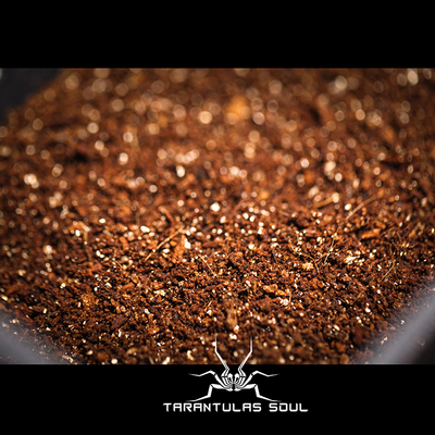 TS爬魂 爬宠垫材 蜘蛛垫材 比例椰土+蛭石套装 170G左右