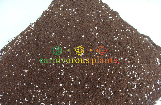 食虫植物专用土无肥加珍珠岩