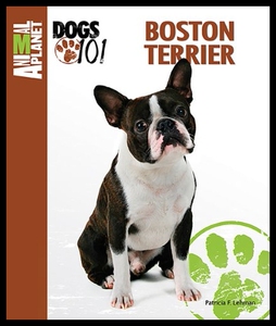 【预售】Animal Planet Dogs 101 Boston Terrier