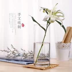 璃尚堂 百合玻璃花瓶透明插花鲜花玫瑰圆形圆柱直筒现代简约大号
