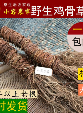 鸡骨草细叶鸡骨草藤黄头草