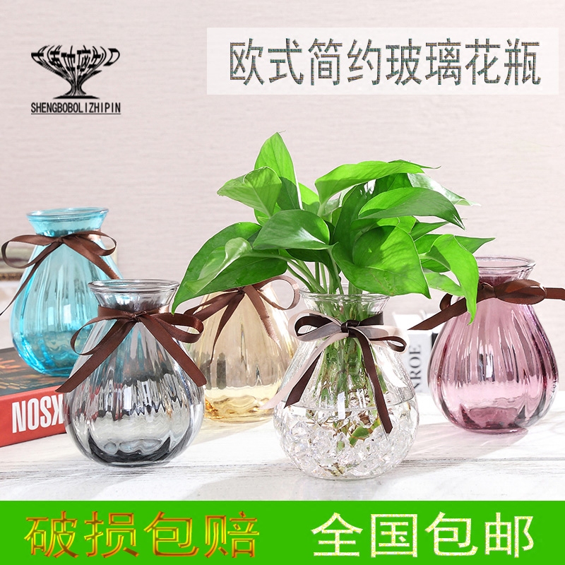 欧式简约彩色玻璃花瓶水培玻璃透明绿萝鲜花干花插花客厅餐厅摆件