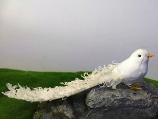 动物模型 仿真鸟 凤凰鸟 羽毛表演头上装饰品 摄影拍摄道具