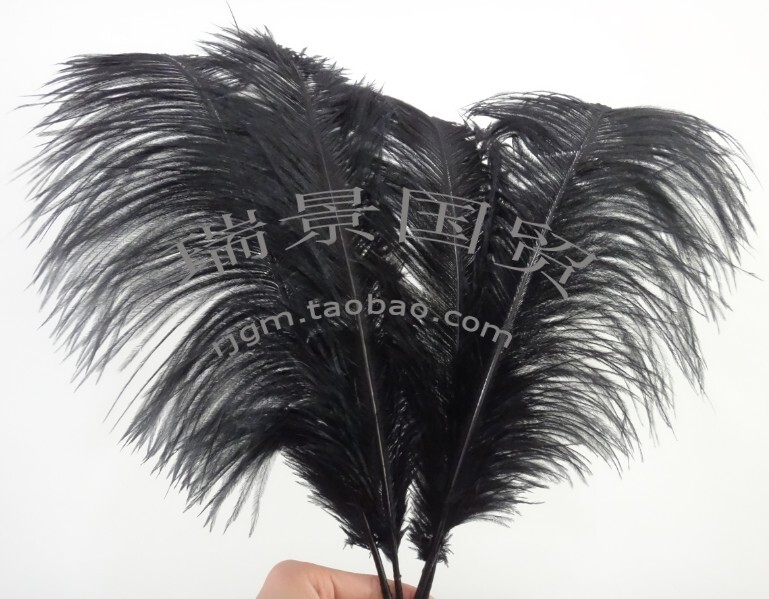 南非进口黑色鸵鸟羽毛  diy饰品配件 婚庆表演舞蹈用品 各种尺寸