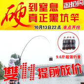 双宝君东速攻碳素台钓竿19调黑棍28调鱼竿裸素黑坑竿罗非竿超硬