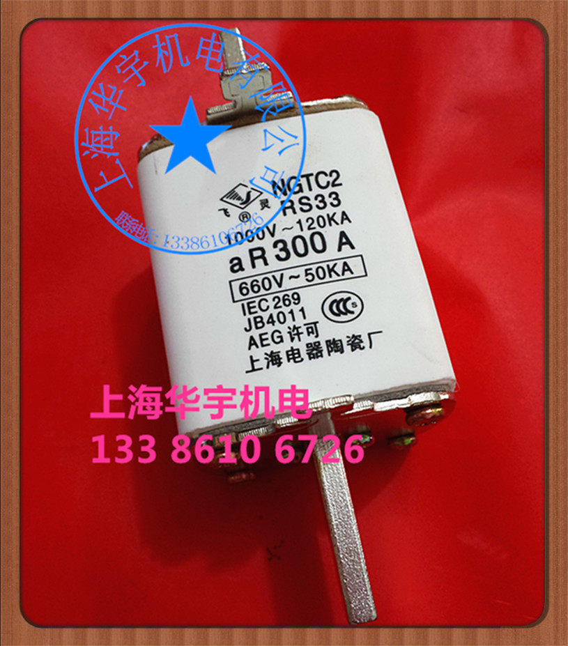 NGTC2快速熔断器300A