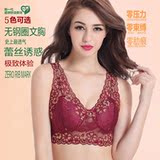 Coques pour soutien-gorge CANVAUS - Ref 822221 Image 184