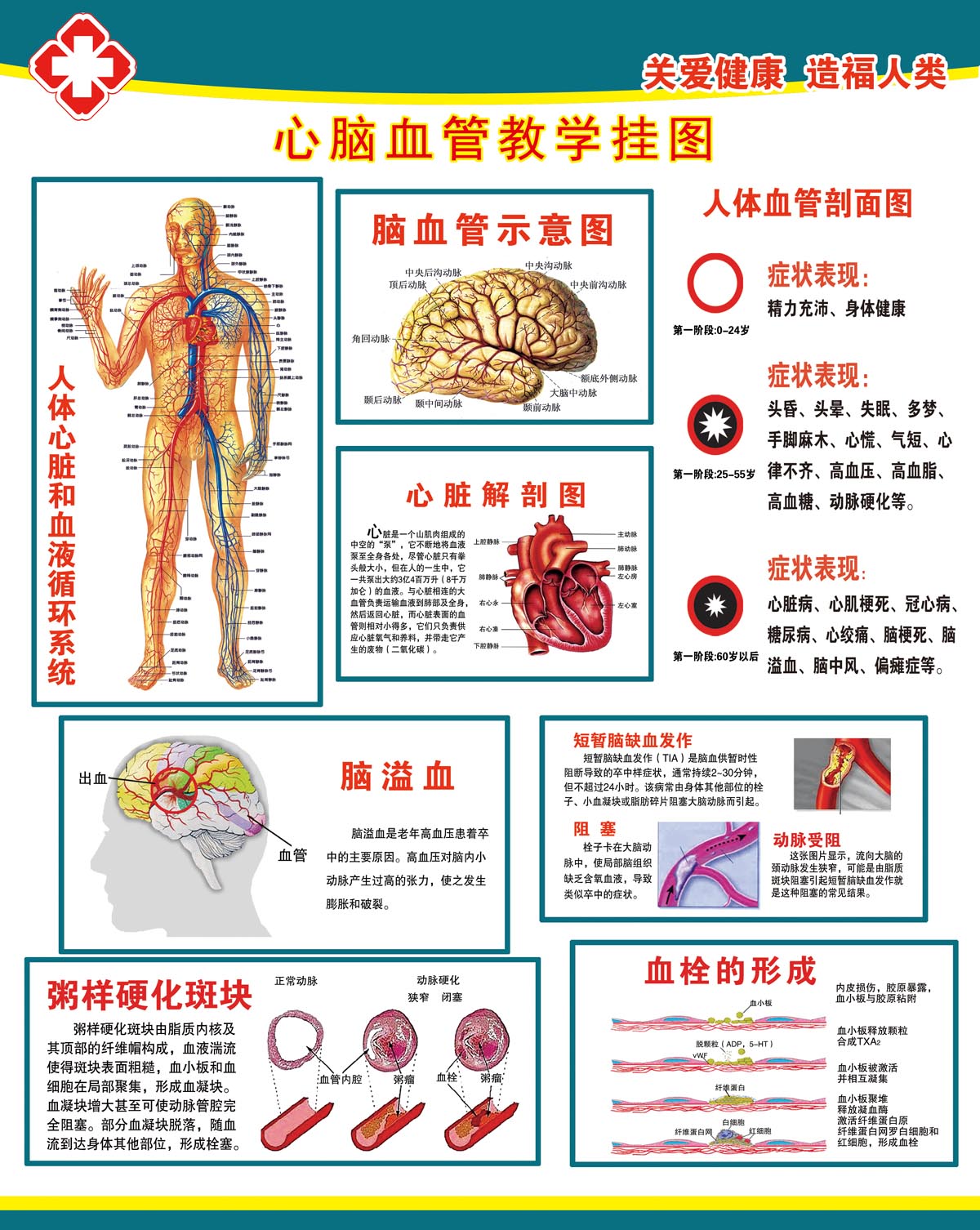 人体血液呈什么性?_人体血液呈什么性?_人体血液呈什么性?