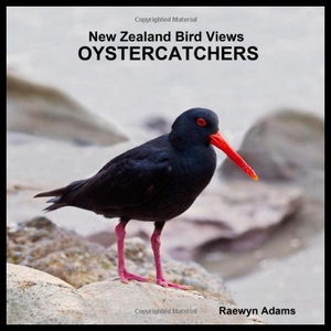 【预售】New Zealand Bird Views: Oystercatchers