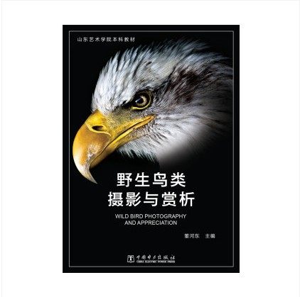 野生鸟类摄影与赏析