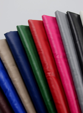 310T涤丝纺布料轻薄20D面料 棉衣防绒羽绒服风衣面料布料冬季保暖