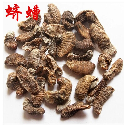 中药材中草药蛴螬500克