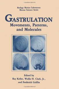 预售 and Gastrulation Patterns Molecules Movements
