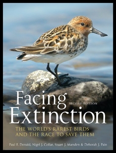 Extinction Facing 预售