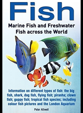 【预售】Fish: Marine Fish and Freshwater Fish Across the