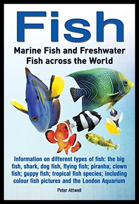 【预售】Fish: Marine Fish and Freshwater Fish Across the