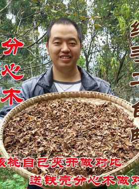 野生核桃分心木500g正品  核桃分心木 酸枣仁粉 包邮分心木