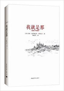 我就是那  室利·尼萨迦达塔·马哈拉吉 (作者), 陶张欢 (译者) 包邮