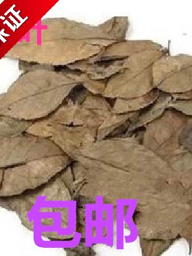 中药材 南烛叶 乌饭叶 南烛叶 南烛叶南烛叶粉2斤包邮