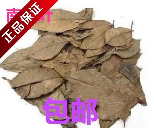中药材 南烛叶 乌饭叶 南烛叶 南烛叶南烛叶粉2斤包邮