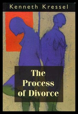 【预售】The Process of Divorce: Helping Couples Negotiate