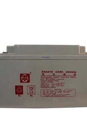 ATA UPS全新正品 免维护铅酸蓄电池ATA12V 65AH UPS电源外置电池