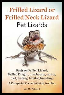 预售 Neck Frilled Pet Lizard