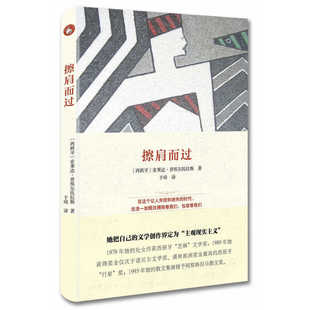 当当网 擦肩而过(西班牙语文学译丛) 普埃尔托拉斯 中央编译出版社 正版书籍