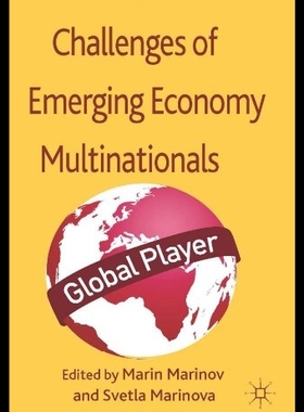 【预售】Successes and Challenges of Emerging E