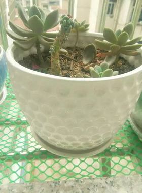 绿色养花塑料网片，塑料网格，塑料网板，塑料网垫，塑料胶网