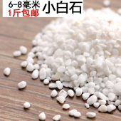 饰底砂石白色石头鱼缸水族箱铺底天然铺面白石子500克 造景装 包邮