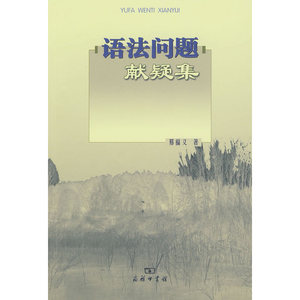 语法问题献疑集