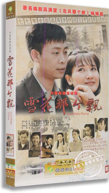 正版电视剧 雪花那个飘 7dvd 经济版盒装 张译 潘雨辰 涂松岩