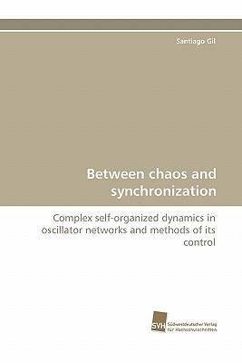 【预售】Between Chaos and Synchronization