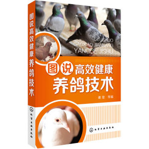 现货 图说高效健康养鸽技术 化学工业出版社 9787122289667 谭雯 新华书店正版书籍