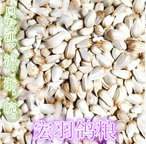 鸽子食红花籽精选红花子红花籽仓鼠饲料 500克1斤(只发江浙沪皖）
