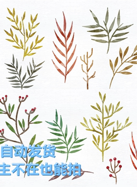 矢量水彩水粉秋季夏季绿色枯黄叶子果实图标 EPS可转PNG设计素材