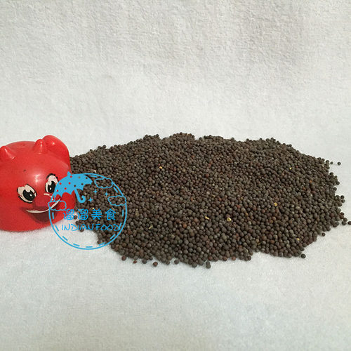 INDIAN FOOD SPICE 印度食品 香料MUSTARD SEEDS 芥子芥籽 500克