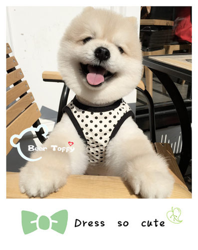 BEARTOFFYPET宠物连衣裙