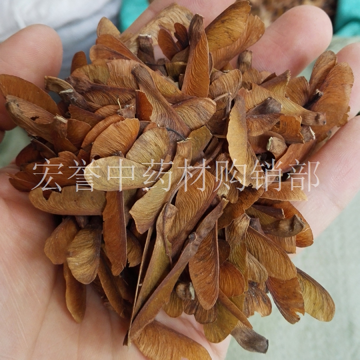 蝴蝶草中药材肺形草 500克正品